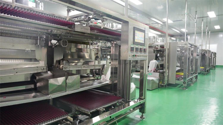 Hard Gelatin Capsule Manufacturing Machine